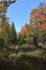 Obraz premium La Plaine 2 Octobre 2022