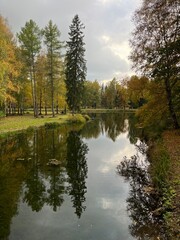 autumn trees reflection on the surface of the pond in the park, golden fall
