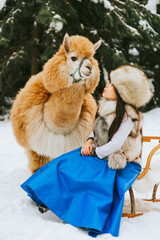 cute beautiful asian girl in fashion stylish winter clothes fur coat and fur hat walking and hugging with llama alpaca pet in snowy pine forest, winter spirit and having fun © klavdiyav