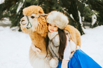 cute beautiful asian girl in fashion stylish winter clothes fur coat and fur hat walking and hugging with llama alpaca pet in snowy pine forest, winter spirit and having fun
