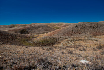 landscape in the desert