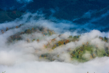 Misty autumn landscape with trees in Eastern Carpathian mountains, Romania. - 535064129