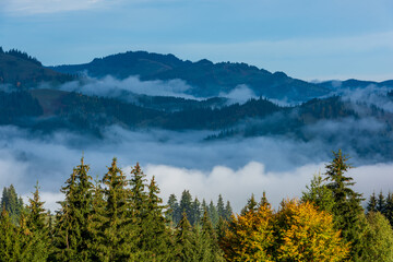 Misty autumn landscape with trees in Eastern Carpathian mountains, Romania. - 535064134