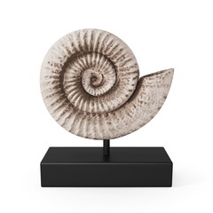Fossil Shell