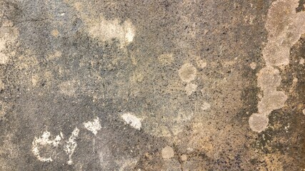 dirty wall with moss on surfaces look vintage 