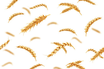 Falling Wheat isolated on white background, selective focus
