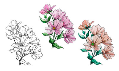 Painted watercolor flowers. Set of flower branches. Bouquet. Silhouette. Sketch of delicate pink flowers. Branch. Pink. Elements for decor. Card. Texture. Watercolor.