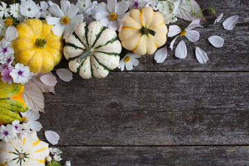 Wooden background with pumpkins, white flowers, petals and leaves. Holiday card for Halloween and Thanksgiving, place for text.