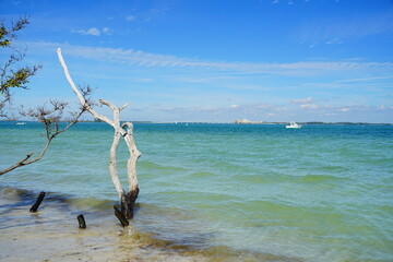 Clear water of Sanibel island in Florida, USA	
