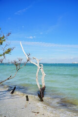 Beautiful Sanibel island beach in Fort Myers, Florida, USA