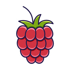 Raspberry. Colorfull outline icon of red berry. Hand drawn sketch doodle style. Isolated vector illustration on white background.