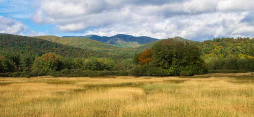 Obraz premium Meadow with trees and mountains