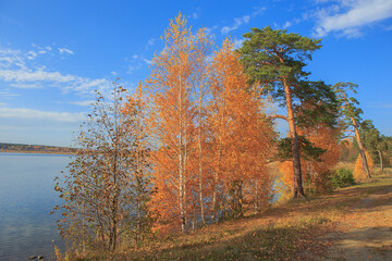 Beautiful lake shore with trees in autumn