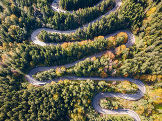 Curved road trough the colorful autumn fores, aerial view from drone