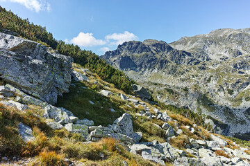 Summer landscape of Rila Mountain near Lovnitsa peak, Bulgaria