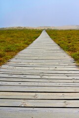 Dunes of Corrubedo Natural Park walkway