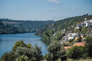 Foto op Canvas View of a village and the Douro River in the Douro Valley, Portugal. © De Visu