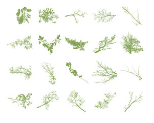 A set of tree green branches. Vector illustration