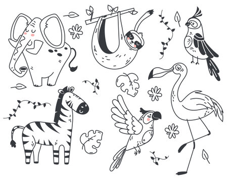 Jungle cute animal line art sketch outline africa isolated design element illustration set
