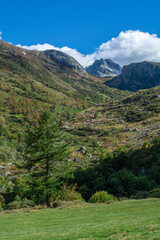Fototapeta premium Nel vallone di Bellino, tra Rocca Senghi ed ilMonte Maniglia (alta Valle Varaita, provincia di Cuneo)