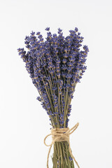 Bouquet of dried lavender (Lavandula) flowers isolated on white background.