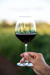 Unrecognizable woman's hand holding a glass of red wine in a vineyard field.