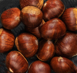 Chestnuts as a  background. Autumn Horse chestnuts top view