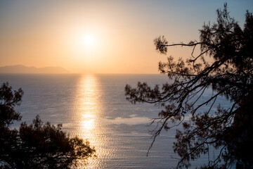 Morning landscape overlooking the sea through the silhouettes of tree branches. The rays of the morning sun through the branches. Soft morning light. Turkey, Turunk