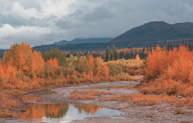 Fototapeta premium Autumn in Alaska