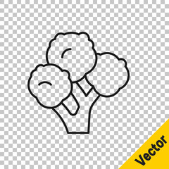 Black line Broccoli icon isolated on transparent background. Vector