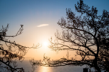 Morning landscape overlooking the sea through the silhouettes of tree branches. The rays of the morning sun through the branches. Soft morning light. Turkey, Turunk