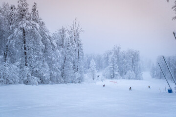 Winter Mountain landscape at the Rosa Khutor ski resort in Sochi, Russia. Trees in hoarfrost in a frosty morning.