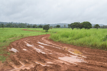 Dirt road with the meadow in countryside