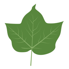 grass, leaves, leaf, palm, tree, dry leaf