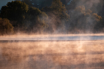 Obraz na płótnie Canvas Misty river