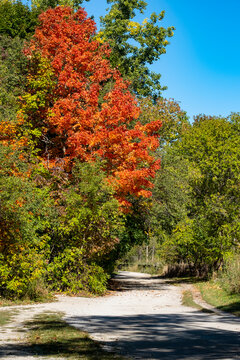 A Tranquil Path Along Credit River Mississauga with Beautiful Fall Foliage on a Sunny Day