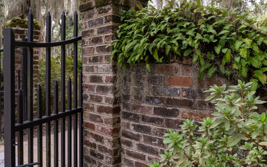 Brisk wall with ferns and gate