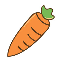 carrot vegetable fresh