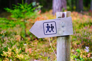 A wooden pole with an indicator of the direction of a walking route in a forest park area. Recreation and tourism