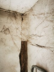 Web and dust in the dirty corner of the room under the ceiling. Spider, cob web on old dirty wall