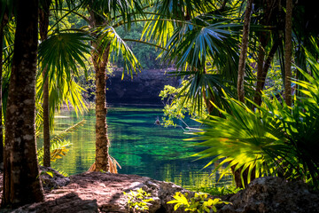 Landscape in the Mexican jungle. Beautiful mexican Jardin Del Eden Cenote with turquoise water and jungle plants