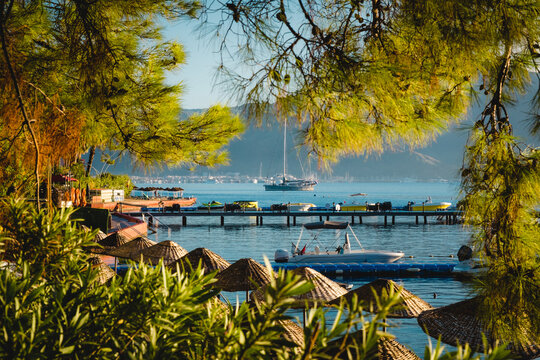 Summer landscape on the Mediterranean coast in Turkey near Marmaris and Icmeler. View of the bay and mountains through pine branches