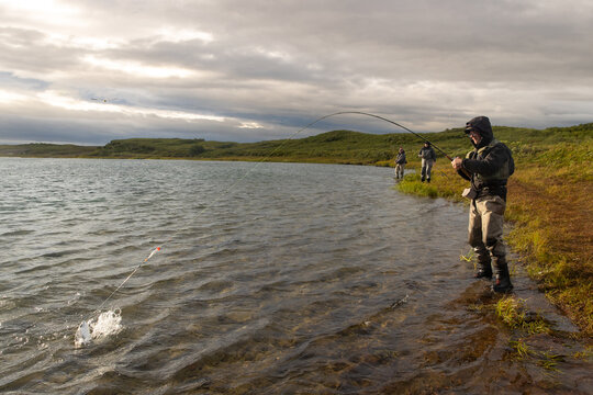 Man wearing waders fighting a Coho salmon on his fishing pole in the Alaskan Egegik river