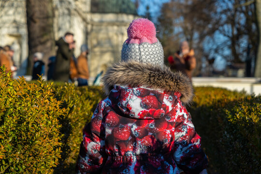 the back of a little girl in a warm bright jacket and a hat with a pink bauble is walking among green bushes from the camera, the photo was taken in sunny weather in early spring
