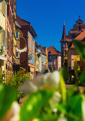 Traditional architecture of Colmar. View of medieval timber-framed townhouses in narrow...