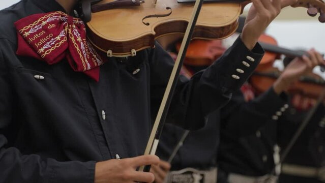 Toca violin