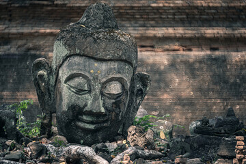 Fototapeta na wymiar Ancient old ruin Head of Buddha statue carved from sandstone was destroyed and abandoned left in the Wat U Mong Temple.