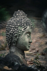 Ancient old ruin Head of Buddha statue carved from sandstone was destroyed and abandoned left in the Wat U Mong Temple.