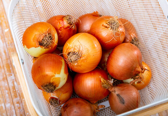 Image of fresh onions in a bucket standing on a wooden table. Close-up image