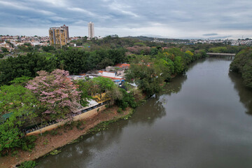 Fototapeta premium Aerial photography of the city of Piracicaba. Rua do Porto, recreation parks, cars, lots of vegetation and the Piracicaba river crossing the city.